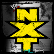 Inaugurez le NXT en ligne !