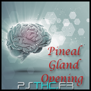 Pineal Gland Opening  
