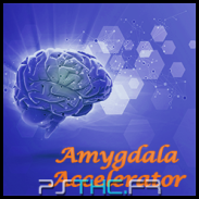 Amygdala Accelerator 