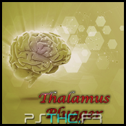 Thalamus Plugger 