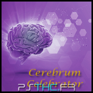 Cerebrum Celebrator 