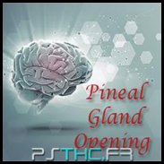 Pineal Gland Opening