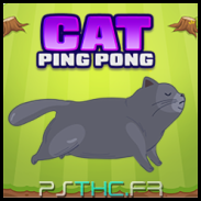 Cat Ping Pong master