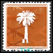 Un simple palmier
