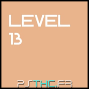 Level 13
