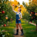 Platine de Fruit Collector<br>obtenu le 13 mai 2025 à 18:01