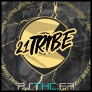 #21 Tribe