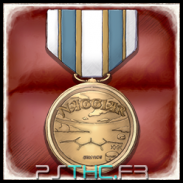 Naggiar Service Medal