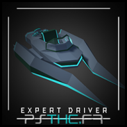 Expert Driver