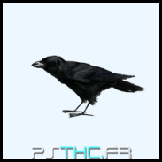 Crow single